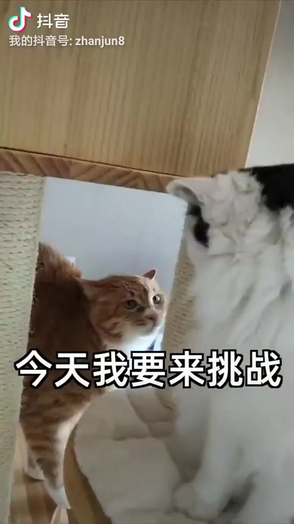 不吹不黑！詹俊这段粤语解说什么水平？