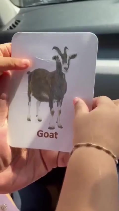 小小年纪还没学会识字都知道梅西是GOAT