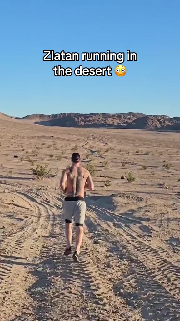 在沙漠中奔跑，伊布的退役生活同样精彩