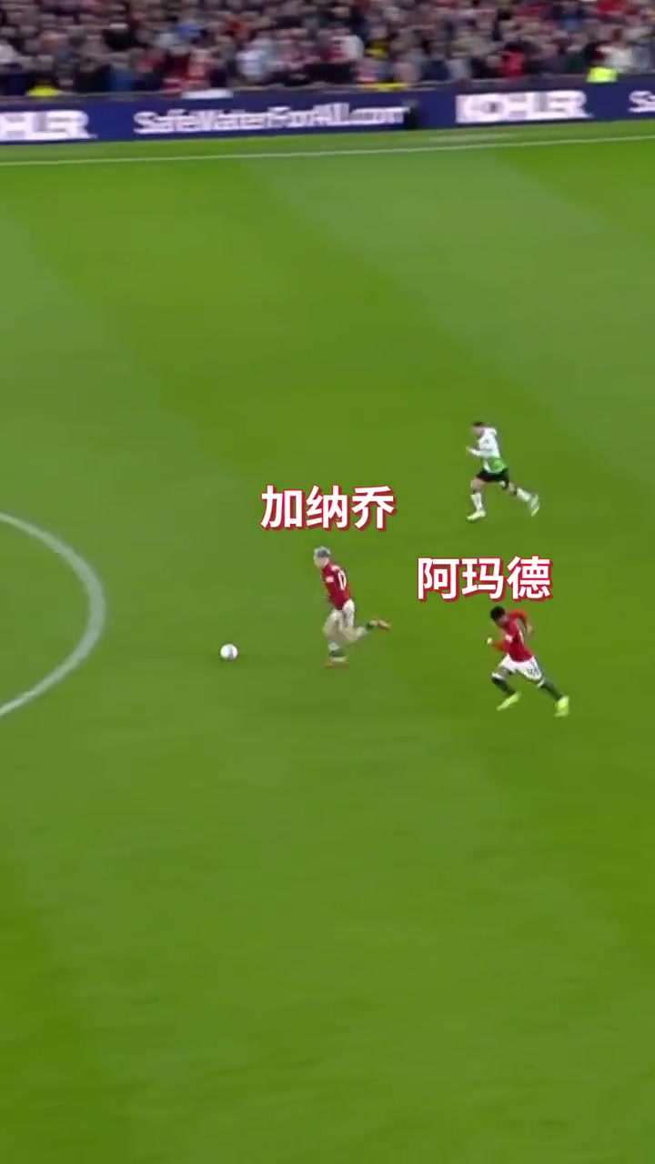 加纳乔