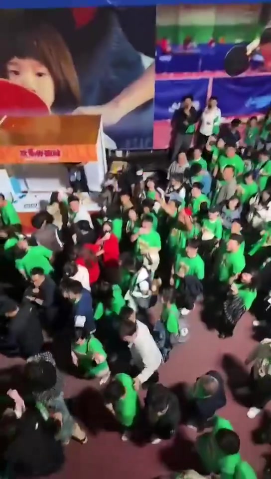 辽宁球迷赛后庆祝,将一只小老虎玩偶扔向天空,大喊:回家!