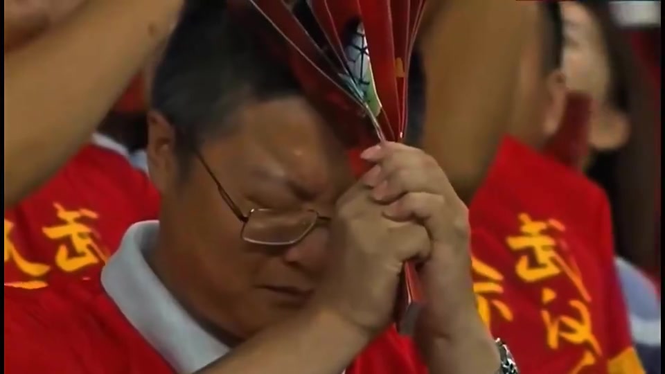 当年郜林打入点球的那一刻 我真以为我们要去世界杯了