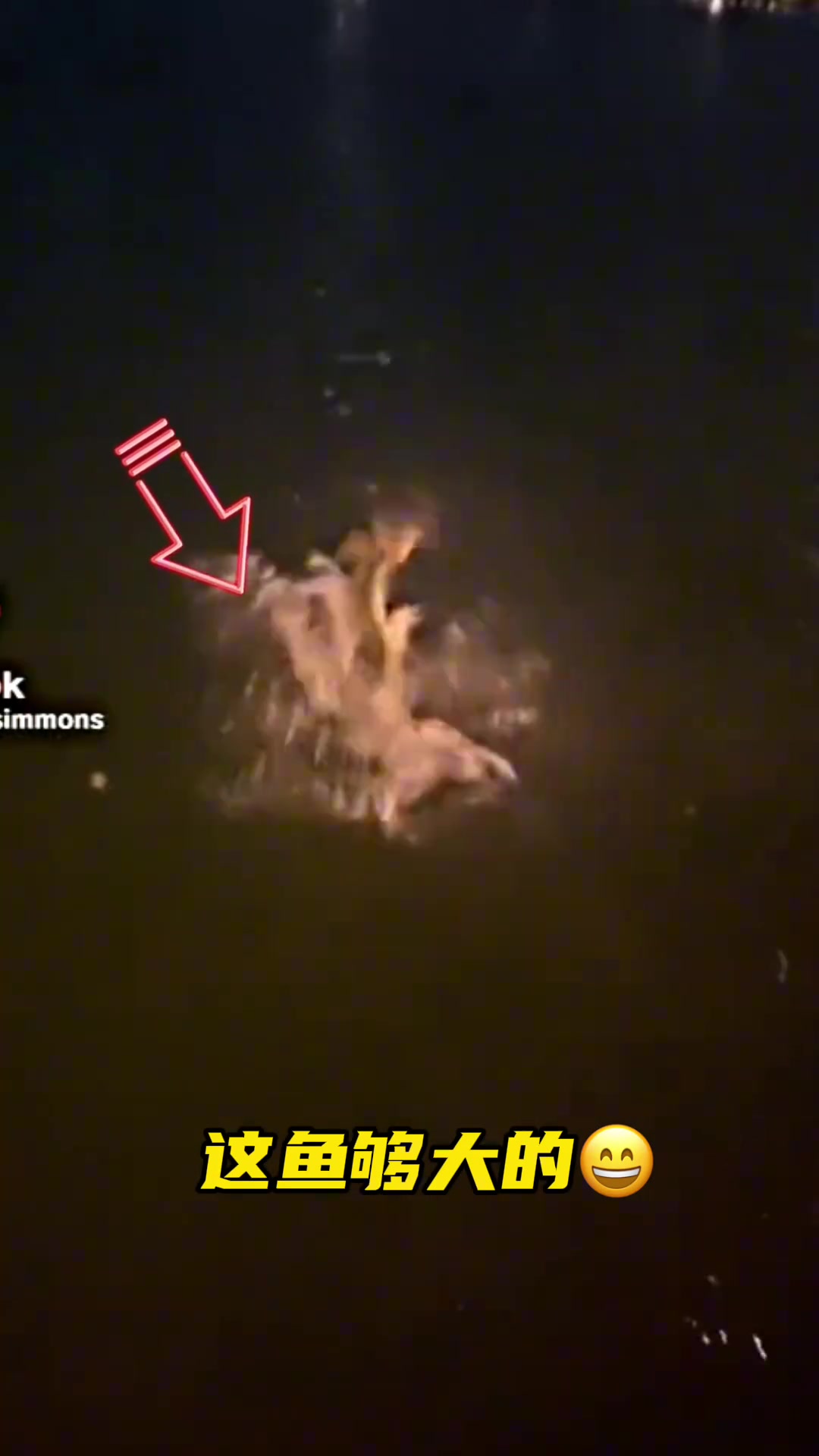 童心未泯！球迷拍到三球在屋顶玩卡丁车