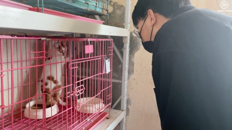 北京WB分享选手关爱流浪猫行动：每一个寒冬，对流浪猫都是考验