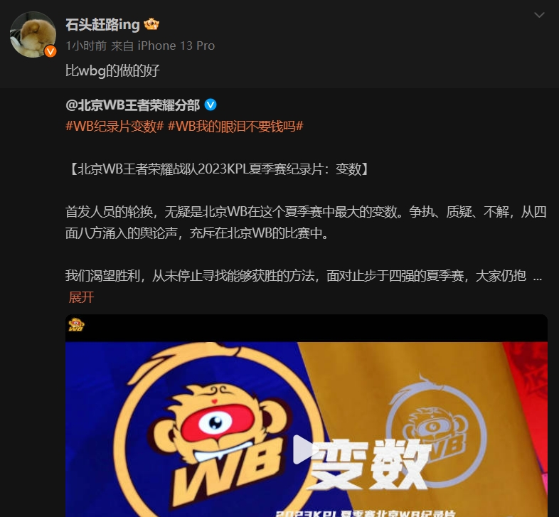 点评WBG分部！石头赶路专访王者分部纪录片：比WBG的做得好！