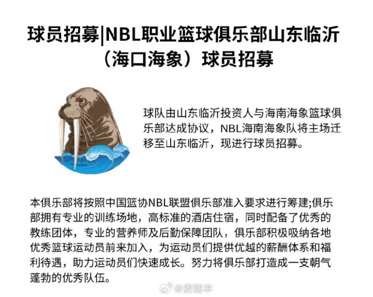 麦穗丰：NBL海口海象男篮已搬至山东临沂现正在招募&试训球员