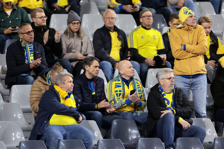 比利时足协高层：中场时瑞典说不想踢了最后才清空客队球迷看台